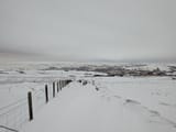 PXL_20250111_164559495