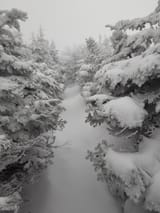 IMG_20250310_102651_014_1