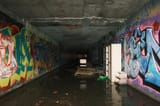 DSCF1618