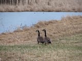 IMG_9900