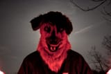 satandog