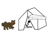 bears