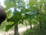 IMG_20250428_134918