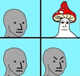 npcmushrooms