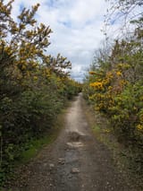 PXL_20250417_124720892