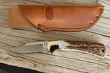BuckCA152Stag