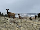 IMG_8462 2
