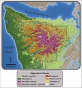 Vegetation-zones-based-on-climate-zones-and-potential-climax-or-dominant-species-within