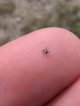 Thread 2820832 OP Image