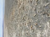 IMG_2286