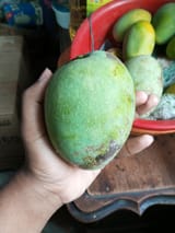 IMG_20250526_073304_030