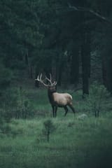 Thread 2821867 OP Image
