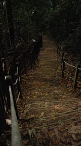 IMG_20250413_033322