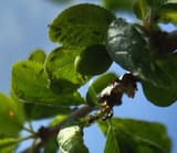 IMG_20250601_135601599