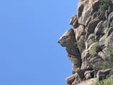 IMG_5086