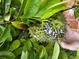 IMG_5190
