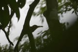 IMG_8141