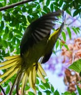 IMG_8144