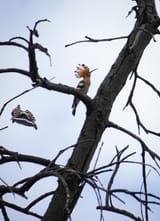 IMG_4270_Original