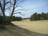 Desert_of_Maine_-_Freeport,_ME_-_IMG_8012