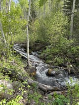 creek2