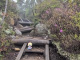IMG_20250602_091821_677