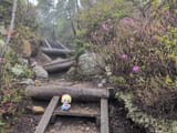 IMG_20250602_091821_677_1