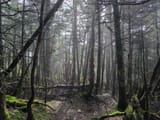 IMG_20250602_094031_988_1