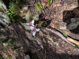 IMG_20250602_114747_804