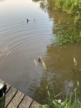 1726028546316953
