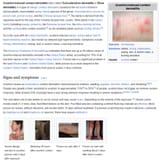 Screenshot 2025-06-08 020509