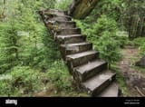 abandoned-ruins-of-the-concrete-staircase-in-the-forest-PRC0AK