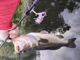 IMG_20250609_193431094