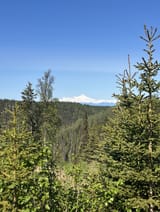 IMG_0584