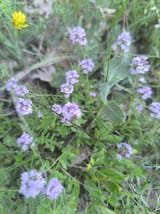 IMG_20250612_195755