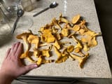 chanterelles