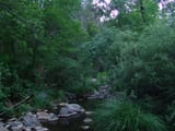 DSC00025 - Copy