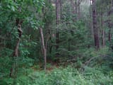 DSC00028 - Copy