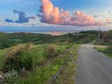 IMG_7001