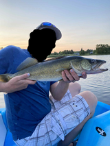 walledeye