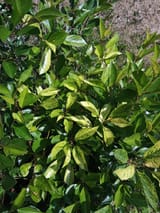 IMG_20250620_113709