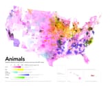livestock