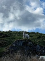 IMG_4287