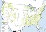 Mature and old growth forests, source DellaSala et al. 2022 Frontiersin org