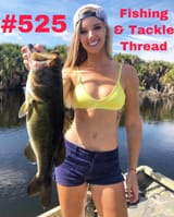 Thread 2826228 OP Image