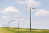 istockphoto-172979926-612x612