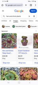 Screenshot_20250626_151110_Chrome