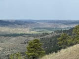 IMG_0282 2