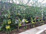 IMG_20250629_141230_495