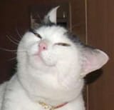 1282444608043